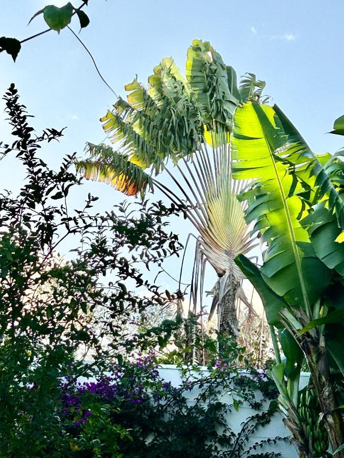 Villa Mango 150 Metres Plage A Pied Sainte-Luce Exterior photo